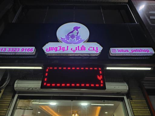 عکس پت شاپ لوتوس