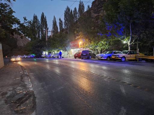 عکس باغ رستوران امیر مارتین