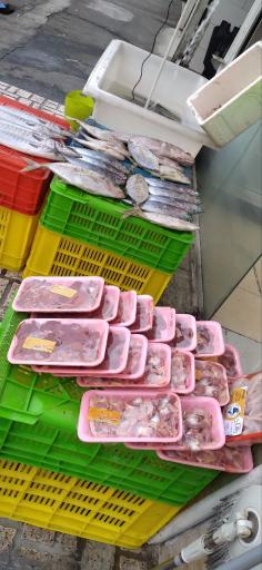 عکس پروتئین پارسا 