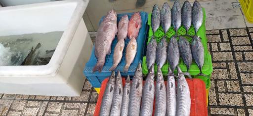 عکس پروتئین پارسا 