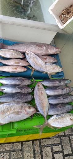 عکس پروتئین پارسا 