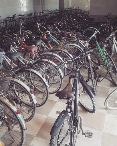 عکس دوچرخه بلال(پاکشتی)