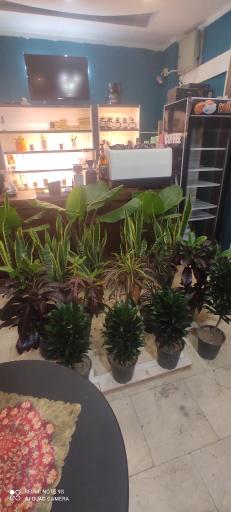 عکس کافه گل حلما هانا