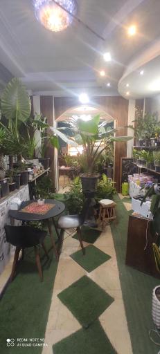 عکس کافه گل حلما هانا