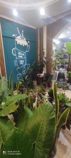 عکس کافه گل حلما هانا