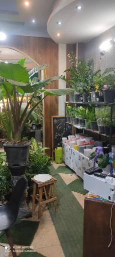 عکس کافه گل حلما هانا