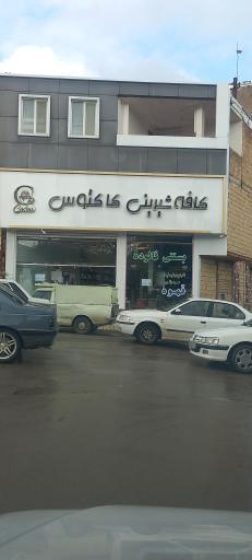 عکس شیرینی پزی کاکتوس