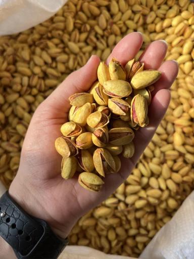 عکس آجیل و خشکبار زرین