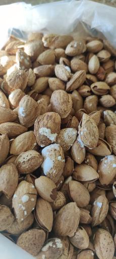 عکس آجیل و خشکبار زرین