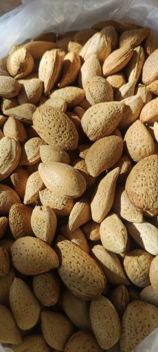 عکس آجیل و خشکبار زرین