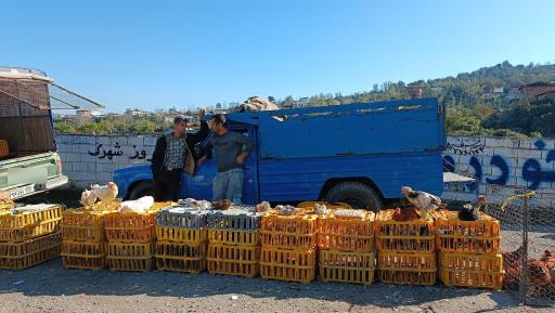 عکس پنج شنبه بازار