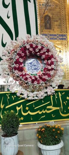 عکس گل فروشی زنبق