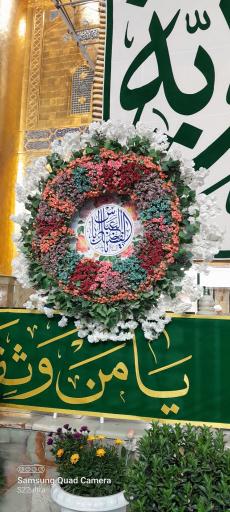 عکس گل فروشی زنبق