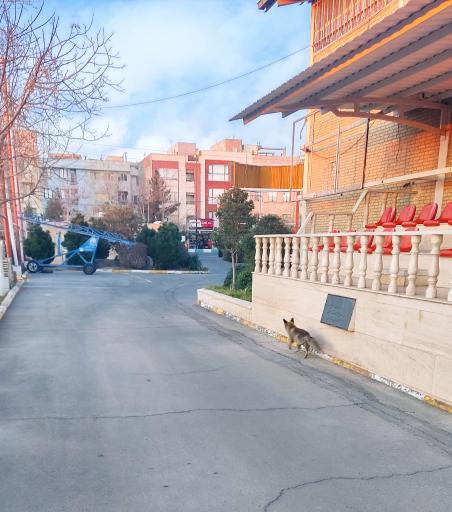 عکس باشگاه فرهنگی ورزشی سایپا