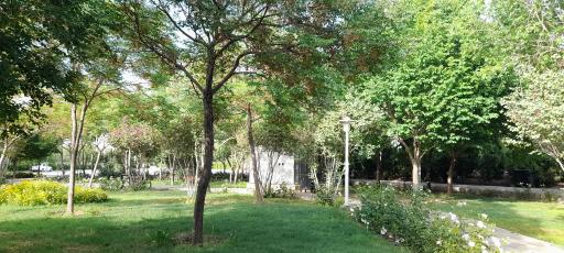 عکس بوستان حنانه