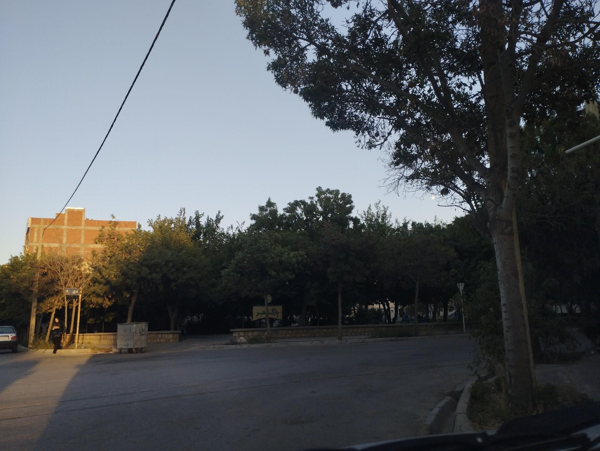 عکس بوستان فجر 