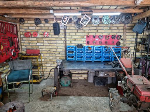 عکس ایران مارگو ( اجاقی )