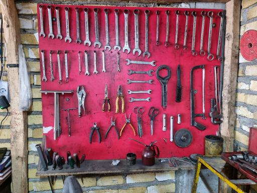 عکس ایران مارگو ( اجاقی )