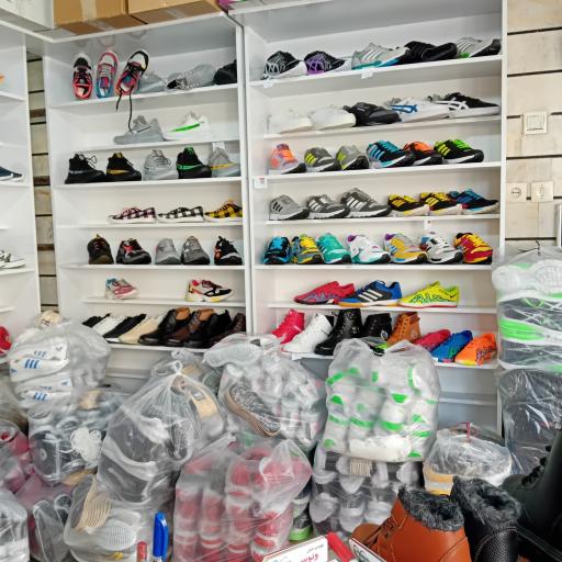 عکس تولید و پخش کفش ونوس