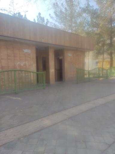 عکس سرویس بهداشتی