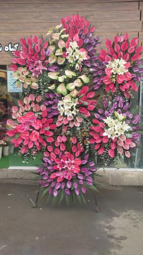 عکس لادن فلاورز