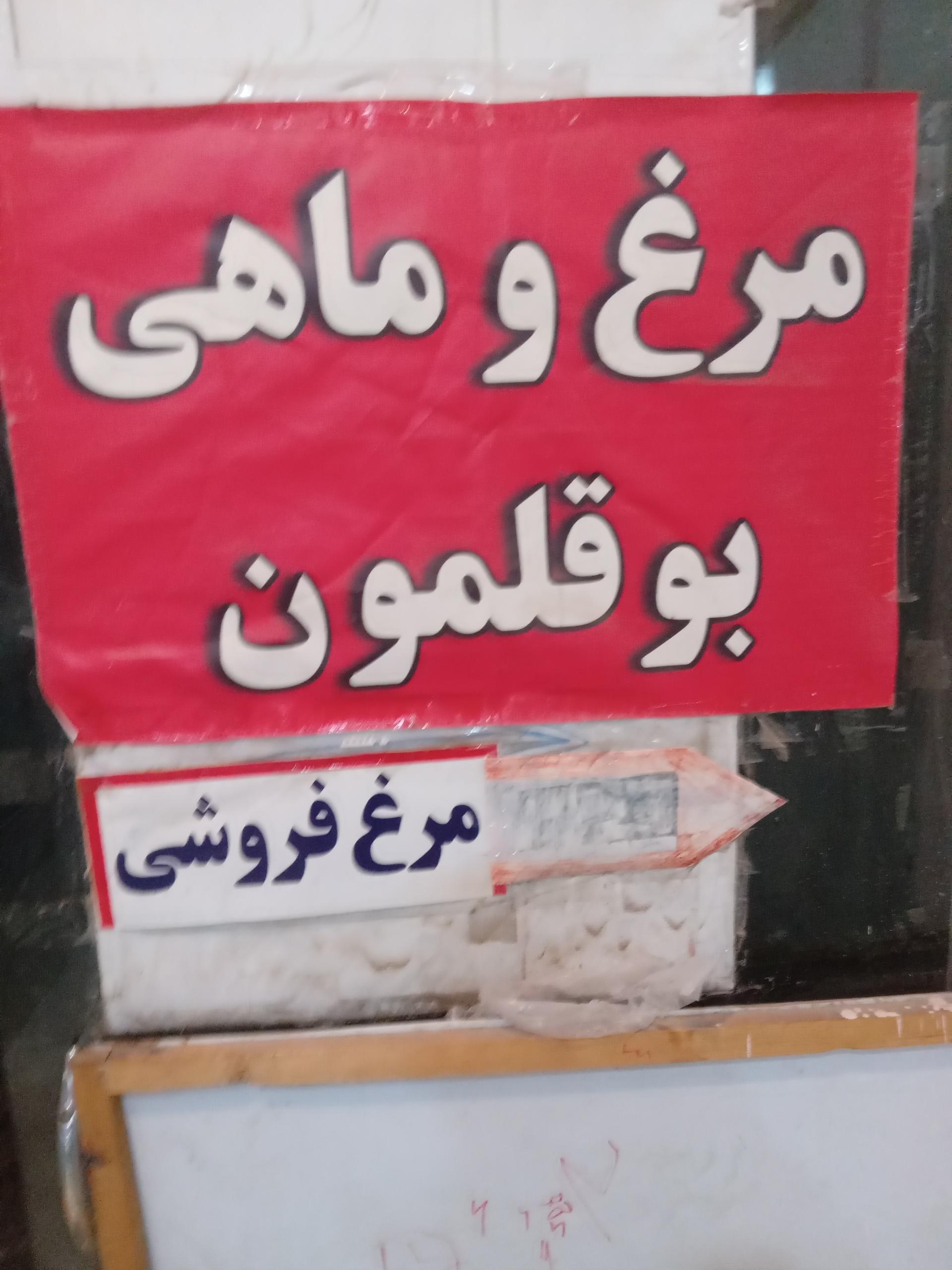 عکس مرغ و ماهی علی اصغر