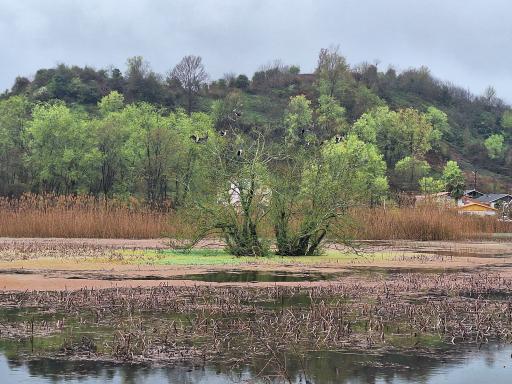 عکس استخر طبیعی بالا زربیجار