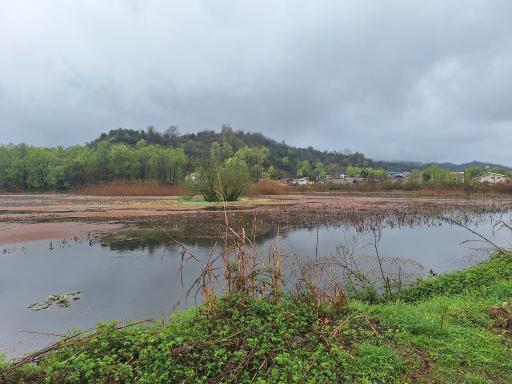 عکس استخر طبیعی بالا زربیجار