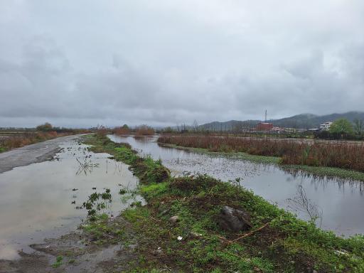 عکس استخر طبیعی بالا زربیجار