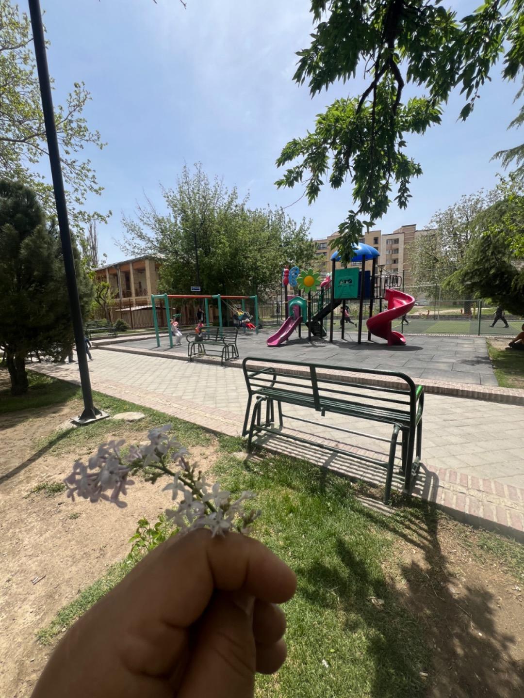 عکس پارک پرواز