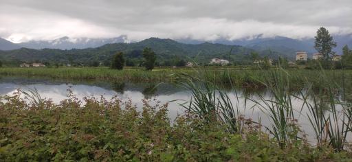 عکس استخر طبیعی بالا زربیجار