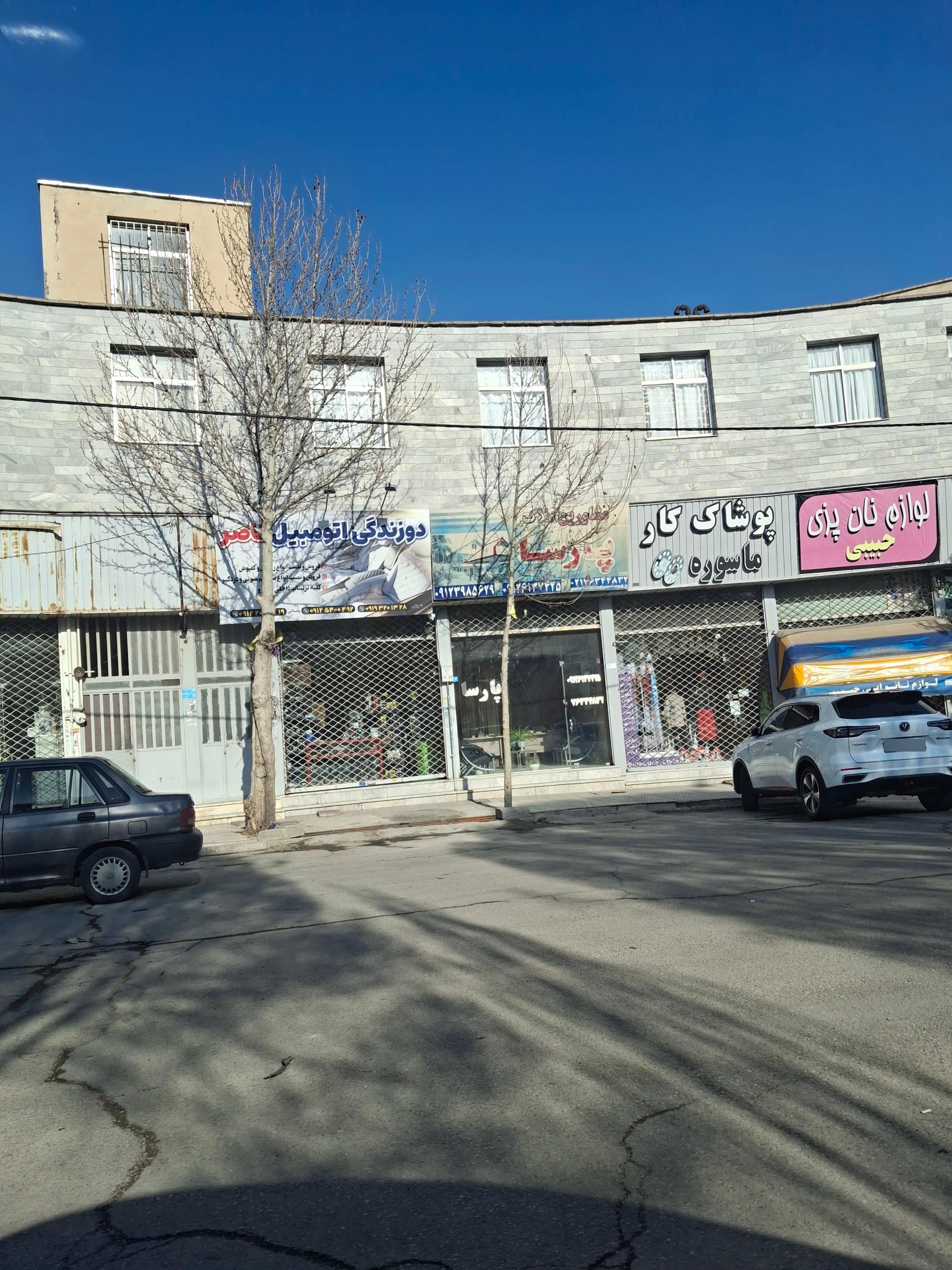 عکس دوزندگی اتومبیل ناصر