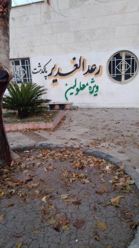 مؤسسه نیکوکاری رعدالغدیر پاکدشت 