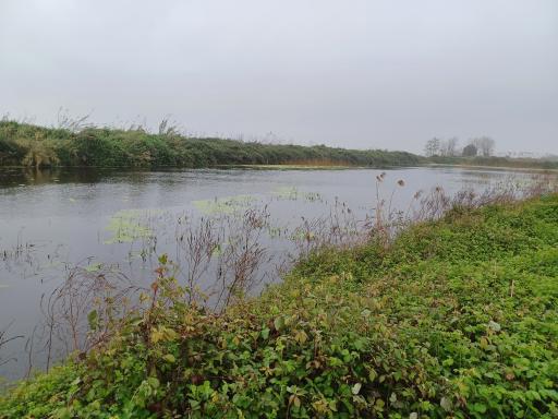 عکس استخر طبیعی بالا زربیجار