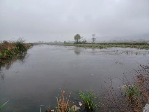 عکس استخر طبیعی بالا زربیجار