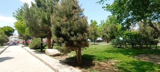 عکس پارک پرواز