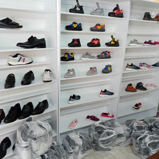 عکس تولید و پخش کفش ونوس