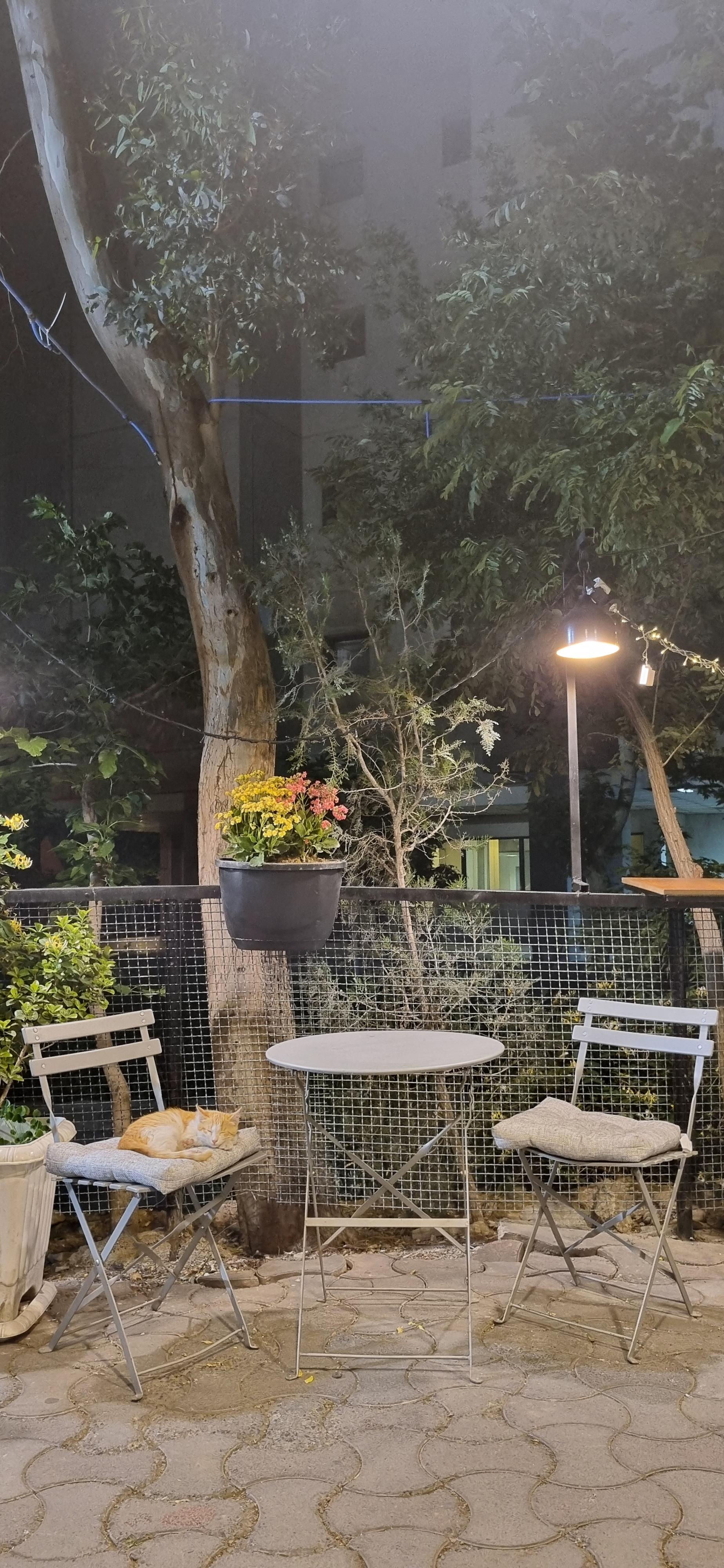 عکس کافه باریس