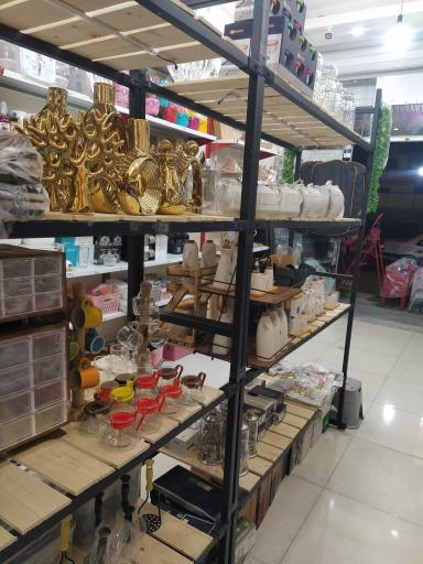 عکس شایان پلاسکو 