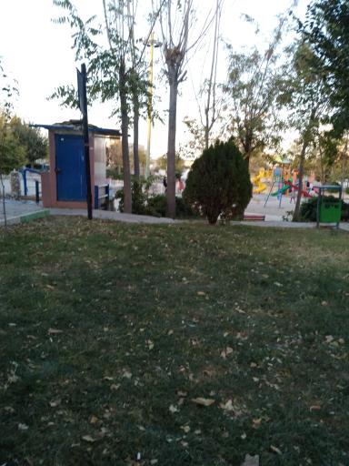 عکس پارک جنگلی پرندک