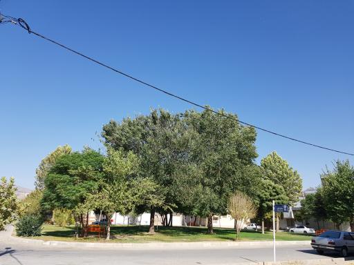عکس میدان نوروز