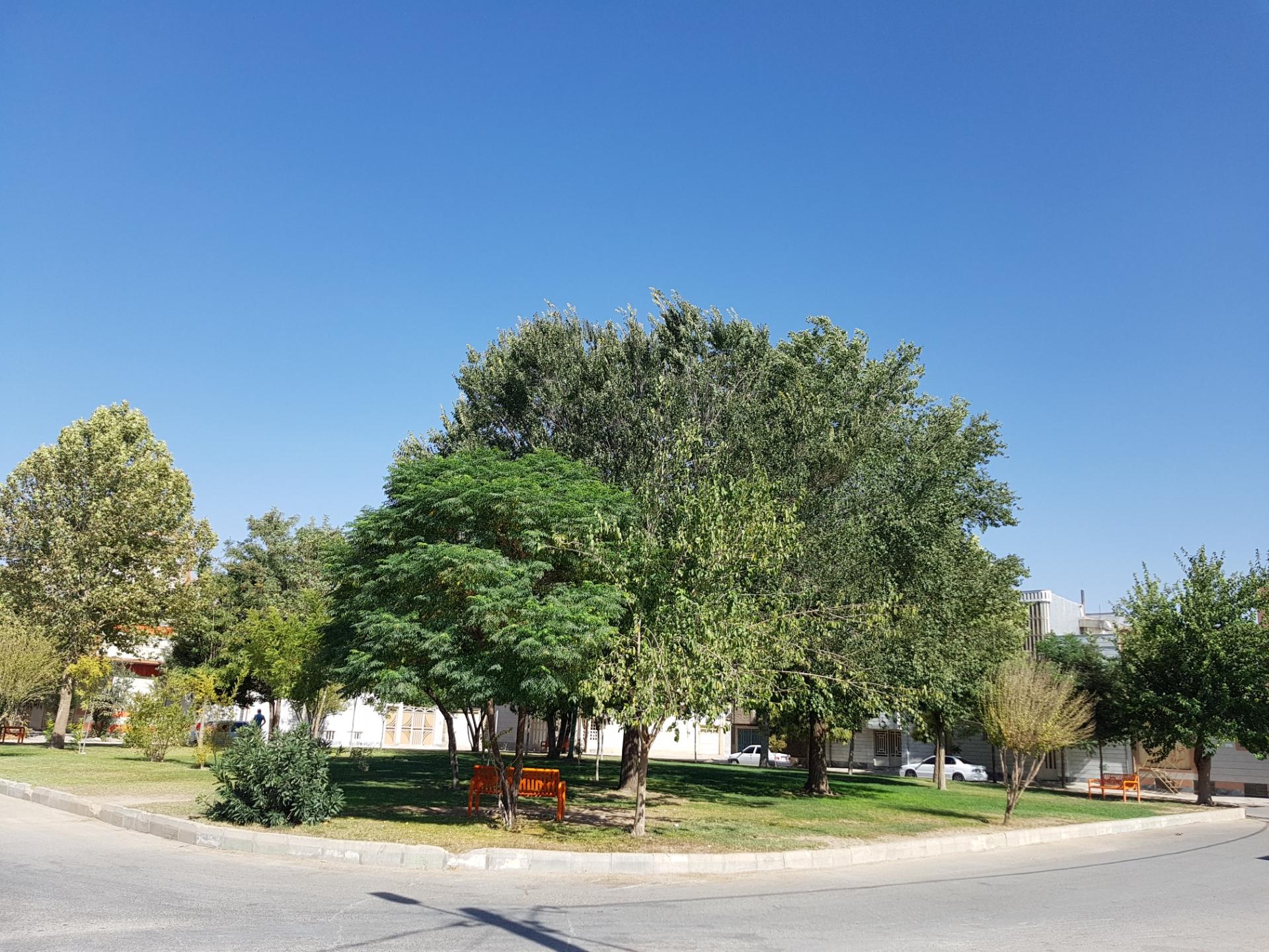 عکس میدان نوروز