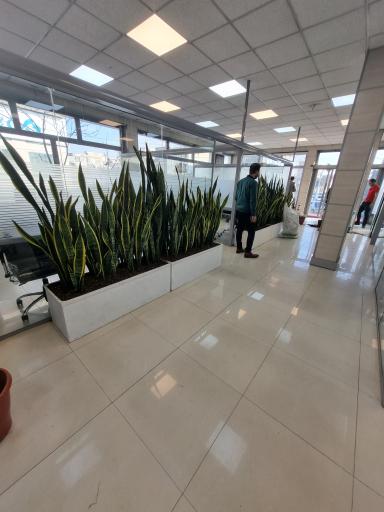 عکس گروه املاک قصر بنیتا