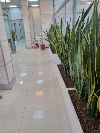 عکس گروه املاک قصر بنیتا