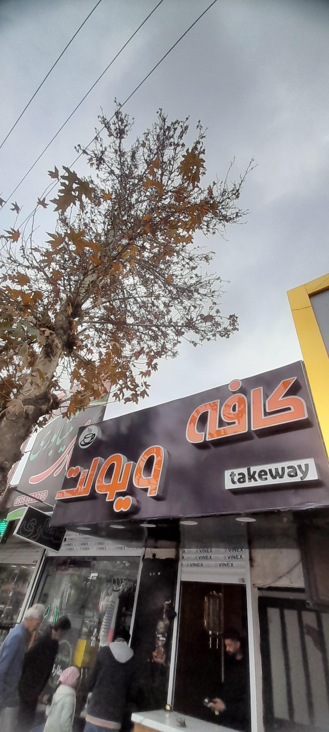 عکس قهوه ویولت