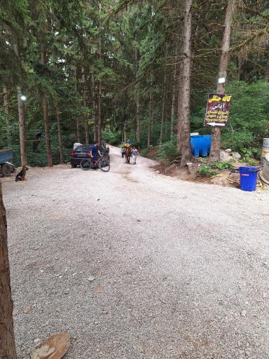 عکس جنگل آداس