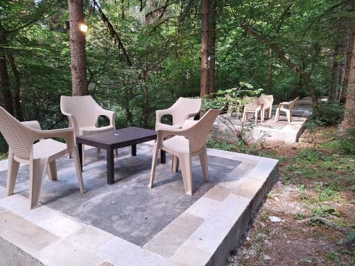 عکس جنگل آداس