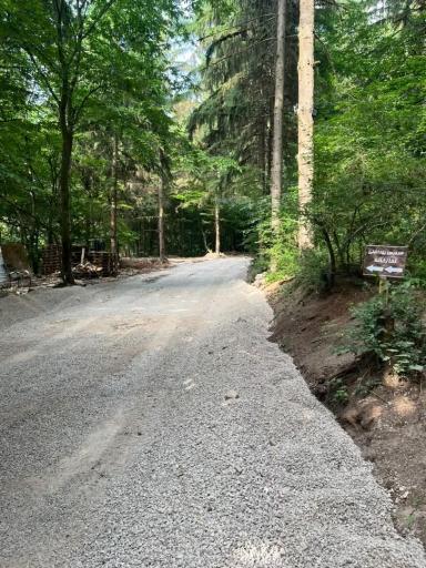 عکس جنگل آداس