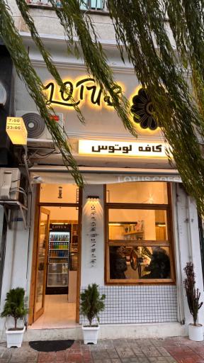 عکس کافه لوتوس