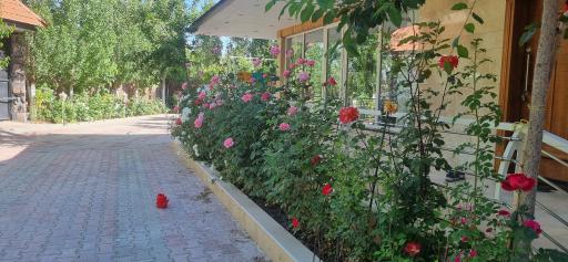عکس ویلای یاس